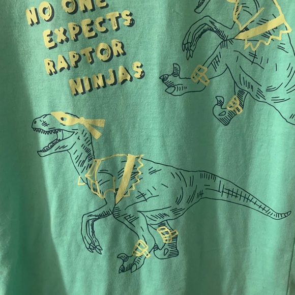 Kids Boys Dinasaur Raptor Ninja Shirt Top Clothing - Picture 1 of 4